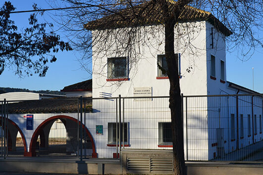 Campo de voluntariado Proyecto artístico en Toledo