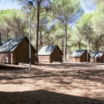 EXPERIENCIA DE MULTIAVENTURA EN PUEBLA DE DON RODRIGO (CIUDAD REAL)